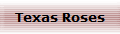 Texas Roses