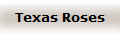 Texas Roses